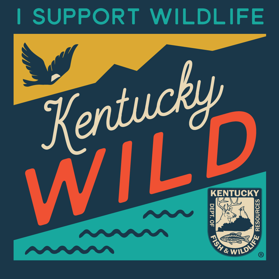 Kentucky Wild Logo